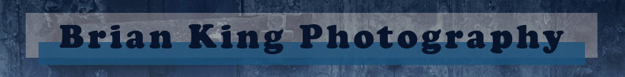 Brian King Photography website banner